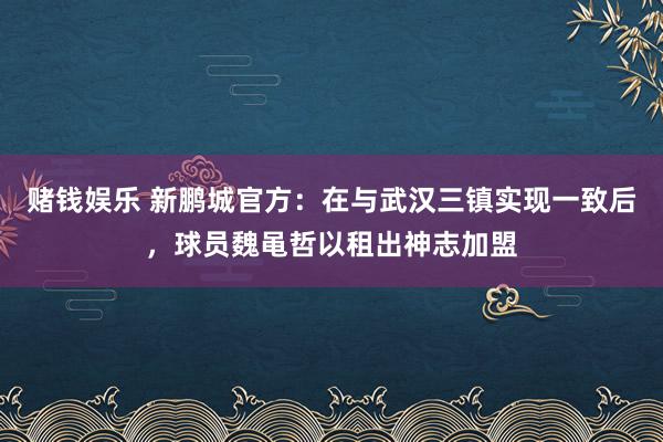 赌钱娱乐 新鹏城官方：在与武汉三镇实现一致后，球员魏黾哲以租出神志加盟