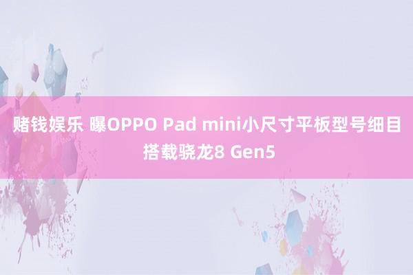 赌钱娱乐 曝OPPO Pad mini小尺寸平板型号细目 搭载骁龙8 Gen5