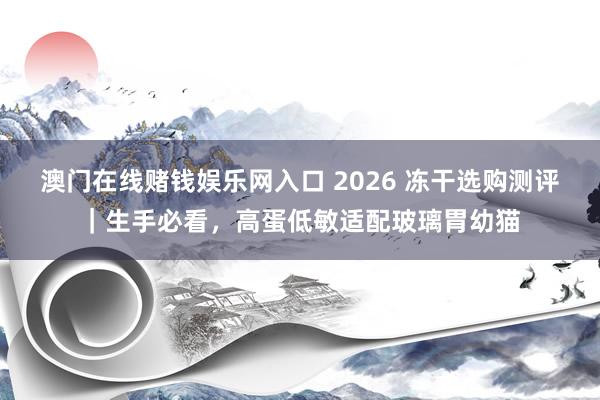 澳门在线赌钱娱乐网入口 2026 冻干选购测评｜生手必看，高蛋低敏适配玻璃胃幼猫