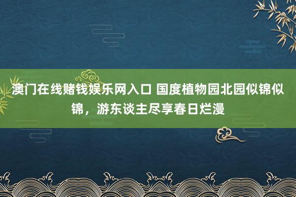澳门在线赌钱娱乐网入口 国度植物园北园似锦似锦，游东谈主尽享春日烂漫