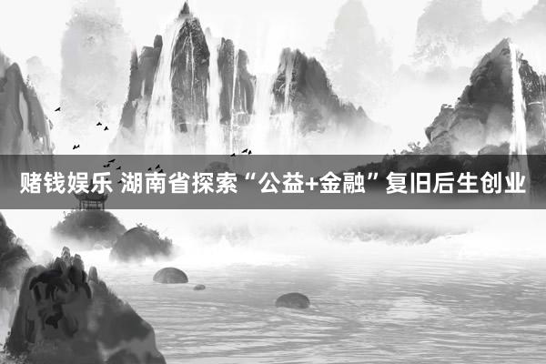 赌钱娱乐 湖南省探索“公益+金融”复旧后生创业
