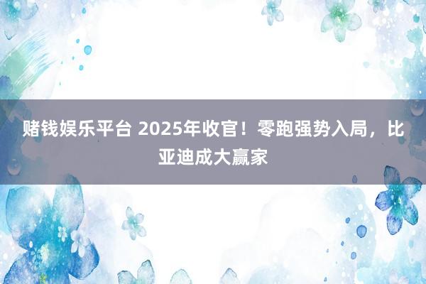 赌钱娱乐平台 2025年收官！零跑强势入局，比亚迪成大赢家