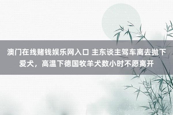 澳门在线赌钱娱乐网入口 主东谈主驾车离去抛下爱犬，高温下德国牧羊犬数小时不愿离开