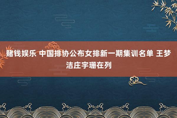 赌钱娱乐 中国排协公布女排新一期集训名单 王梦洁庄宇珊在列