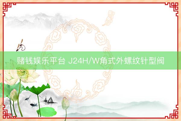 赌钱娱乐平台 J24H/W角式外螺纹针型阀