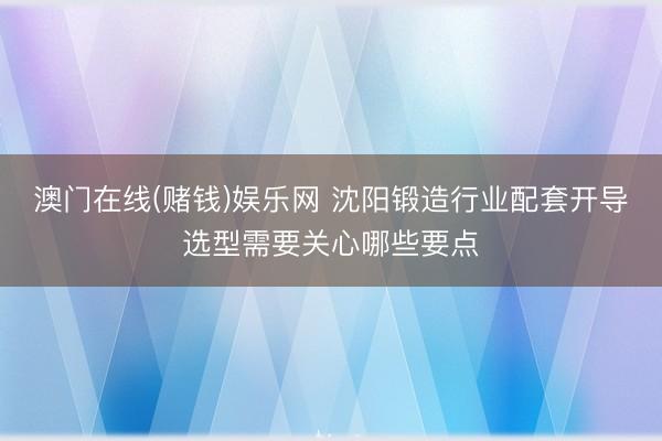 澳门在线(赌钱)娱乐网 沈阳锻造行业配套开导选型需要关心哪些要点