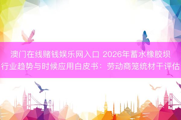 澳门在线赌钱娱乐网入口 2026年蓄水橡胶坝行业趋势与时候应用白皮书：劳动商笼统材干评估
