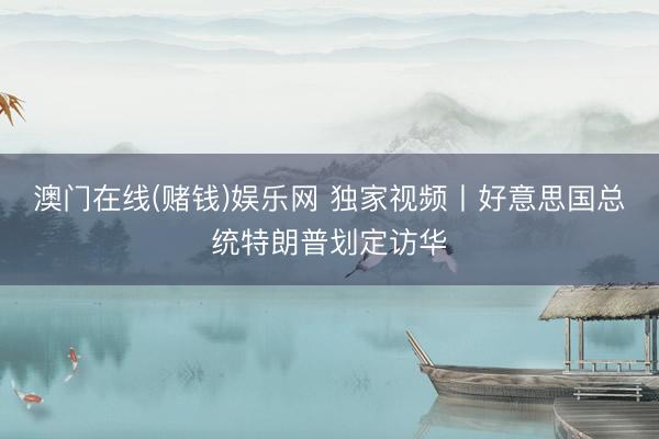 澳门在线(赌钱)娱乐网 独家视频丨好意思国总统特朗普划定访华