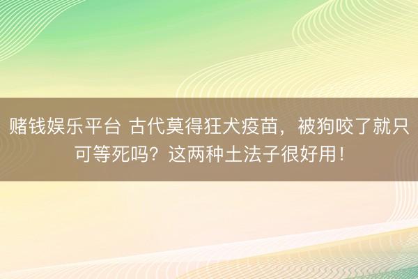 赌钱娱乐平台 古代莫得狂犬疫苗，被狗咬了就只可等死吗？这两种土法子很好用！
