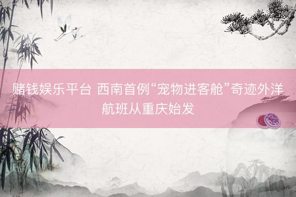 赌钱娱乐平台 西南首例“宠物进客舱”奇迹外洋航班从重庆始发