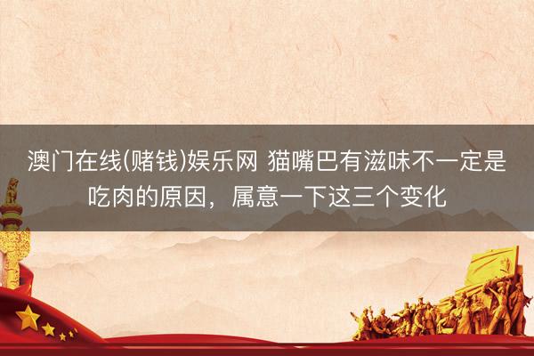 澳门在线(赌钱)娱乐网 猫嘴巴有滋味不一定是吃肉的原因，属意一下这三个变化