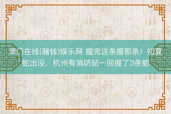 澳门在线(赌钱)娱乐网 握完这条握那条！初夏蛇出没，杭州有消防站一回握了3条蛇
