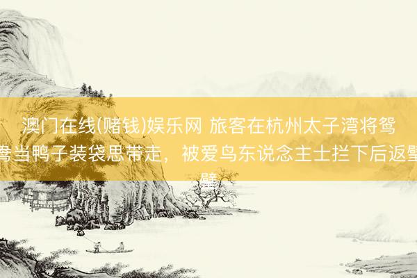 澳门在线(赌钱)娱乐网 旅客在杭州太子湾将鸳鸯当鸭子装袋思带走，被爱鸟东说念主士拦下后返璧
