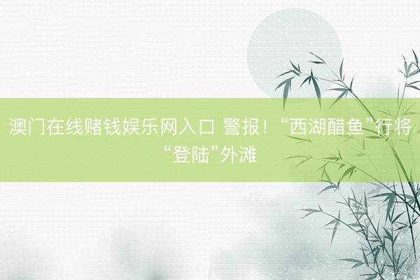 澳门在线赌钱娱乐网入口 警报！“西湖醋鱼”行将“登陆”外滩