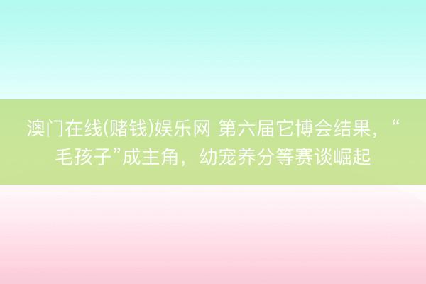 澳门在线(赌钱)娱乐网 第六届它博会结果,“毛孩子”成主角,幼宠养分等赛谈崛起