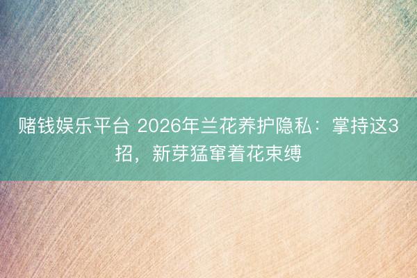 赌钱娱乐平台 2026年兰花养护隐私：掌持这3招，新芽猛窜着花束缚