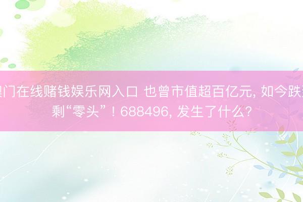澳门在线赌钱娱乐网入口 也曾市值超百亿元, 如今跌到剩“零头” ! 688496, 