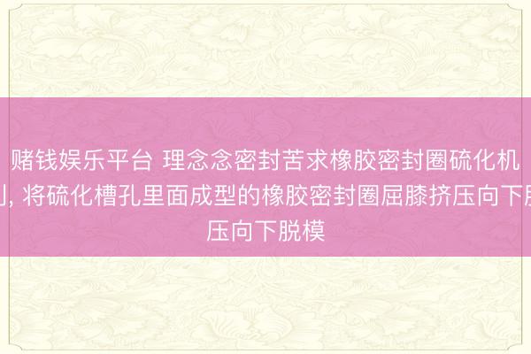 赌钱娱乐平台 理念念密封苦求橡胶密封圈硫化机专利， 将硫化槽孔里面成型的橡胶密封圈屈膝挤压向下脱模