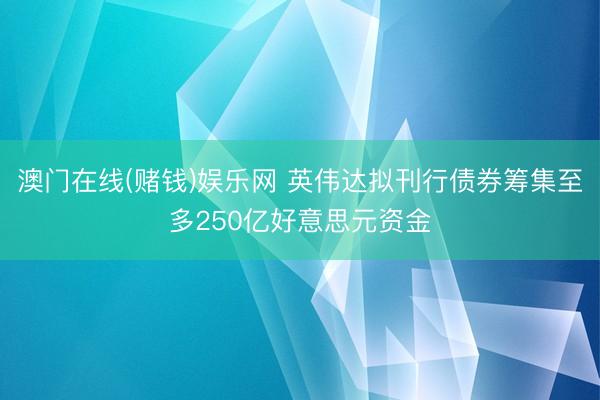 澳门在线(赌钱)娱乐网 英伟达拟刊行债券筹集至多250亿好意思元资金