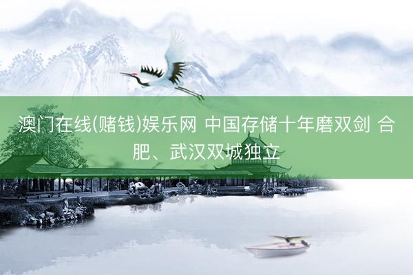 澳门在线(赌钱)娱乐网 中国存储十年磨双剑 合肥、武汉双城独立