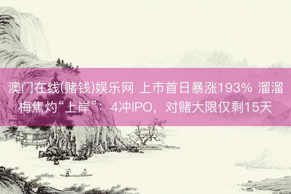 澳门在线(赌钱)娱乐网 上市首日暴涨193% 溜溜梅焦灼“上岸”：4冲IPO，对赌大限仅剩15天