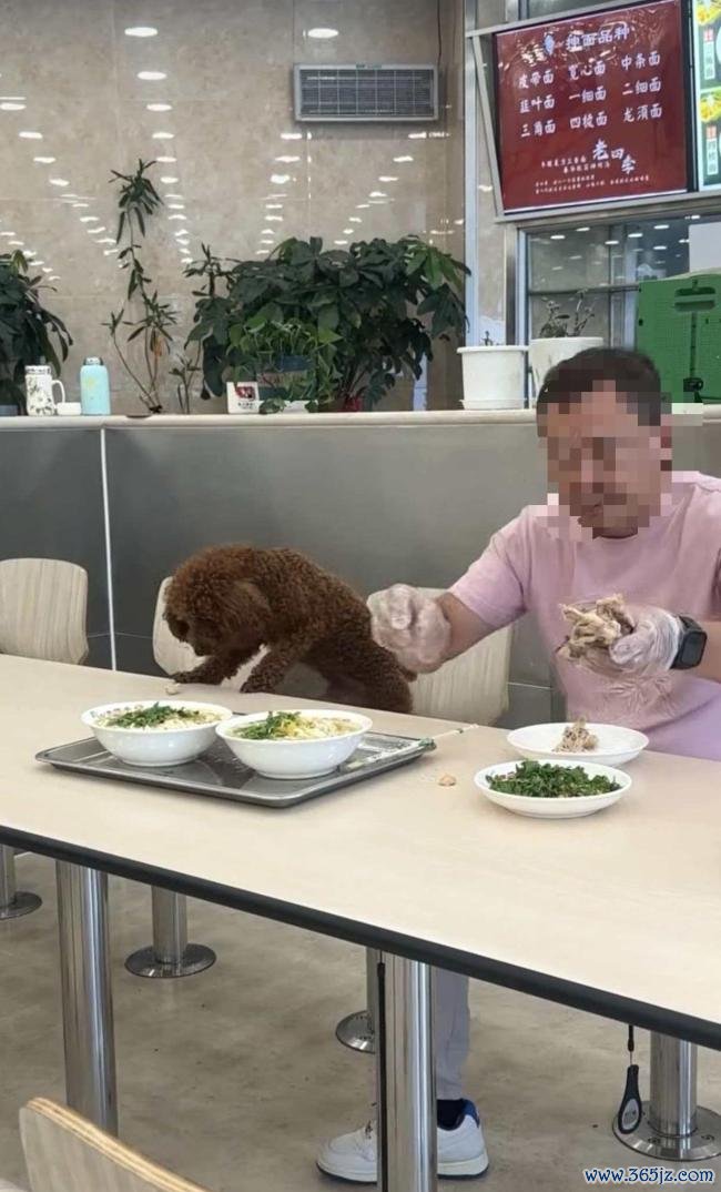 男人饭铺就餐让宠物狗在餐桌进食 激励网友热议
